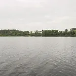 Swan * Boyle
