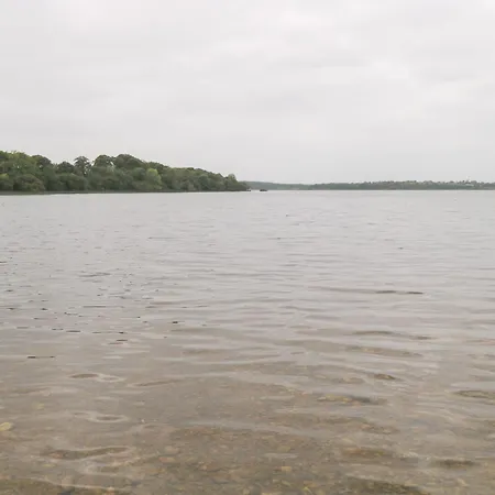 Dom wakacyjny Swan *