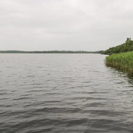 Swan Dom wakacyjny Boyle